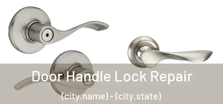 Door Handle Lock Repair (city.name) - (city.state)