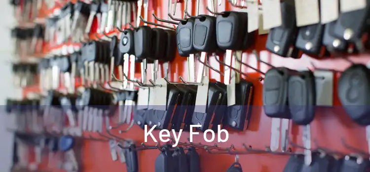  Key Fob 